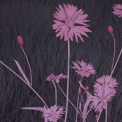 博喜体育官网下载